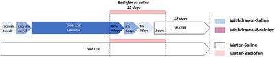 Chronic alcohol-induced long-lasting working memory deficits are associated with altered histone H3K9 dimethylation in the prefrontal cortex